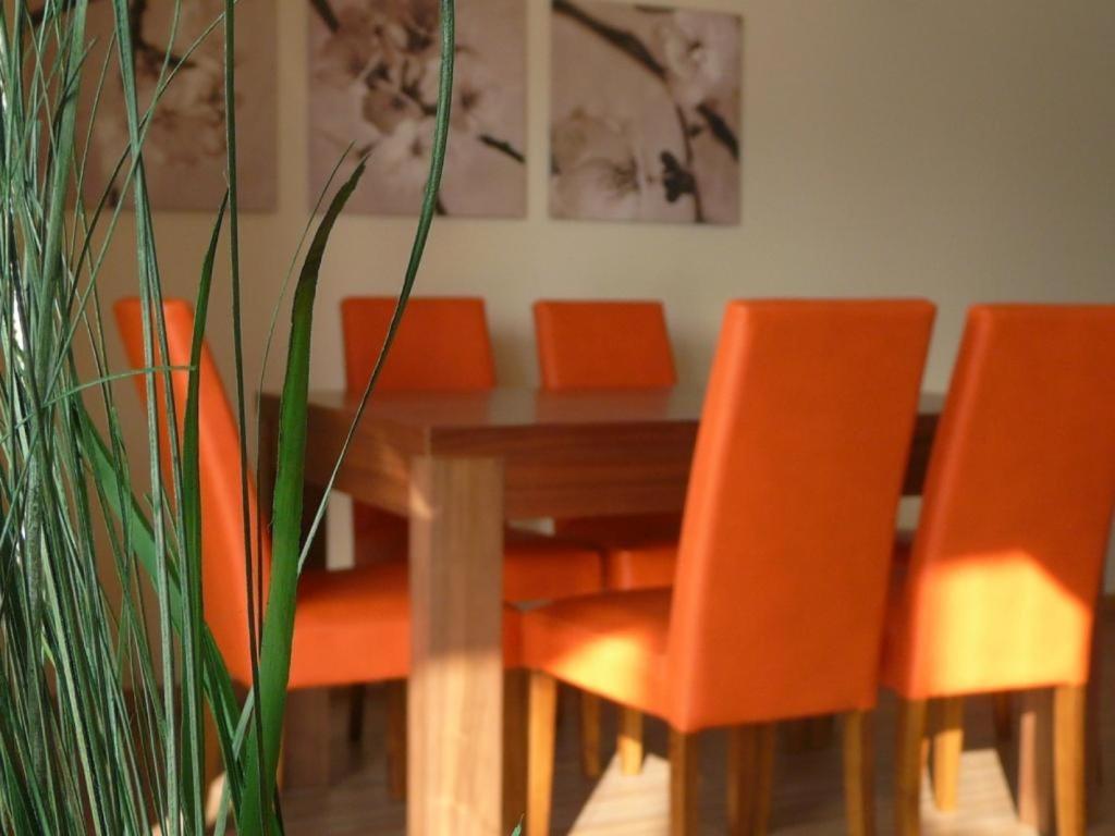 Apartamenty Wislany Brzeg Ustroń Exterior foto